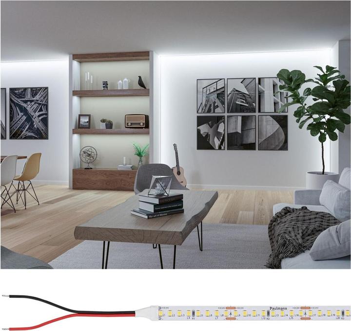 Produktbild Paulmann Pro Strip Silver P150 (Tageslicht, 500 cm, Indoor)