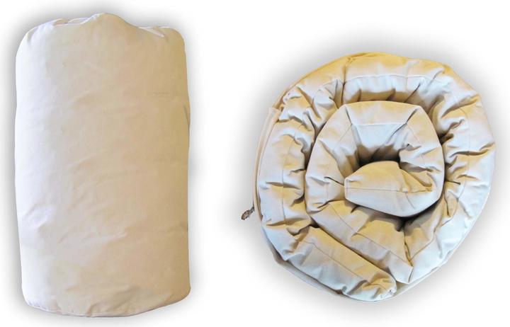 Produktbild Europe & Nature Futon In A Bag (70 x 190 cm, Naturkern)