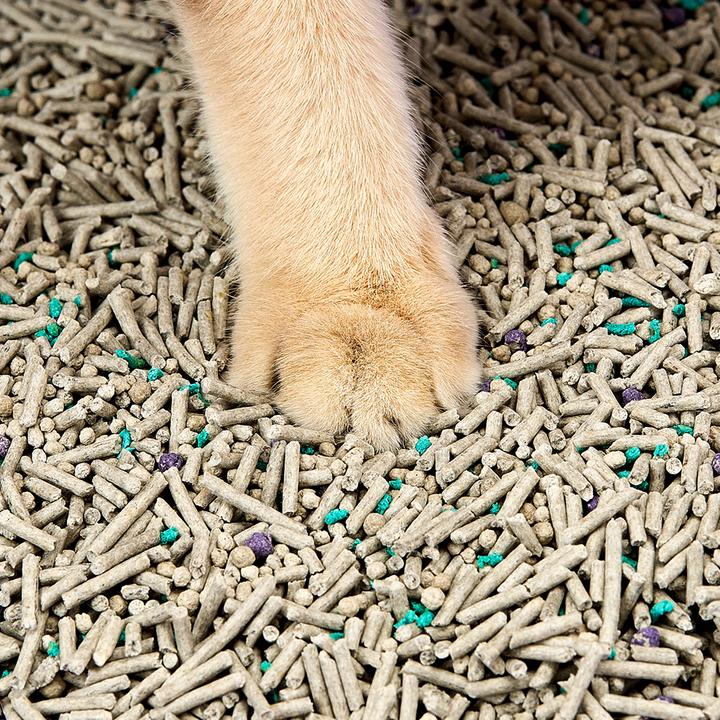 Actual product image Petkit Mixed cat litter (Clumping, 3.60 kg)