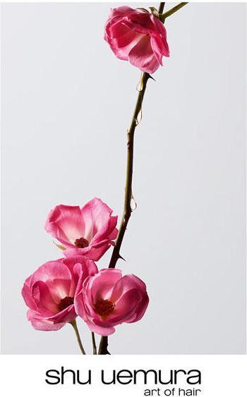 Actual product image Shu Uemura Color Lustre Brilliant Glaze Conditioner (250 ml)