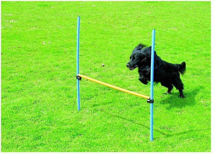 Pawise Agility Hurdle 116cm de hauteur - (636.9002) (Taille unique, Agility)
