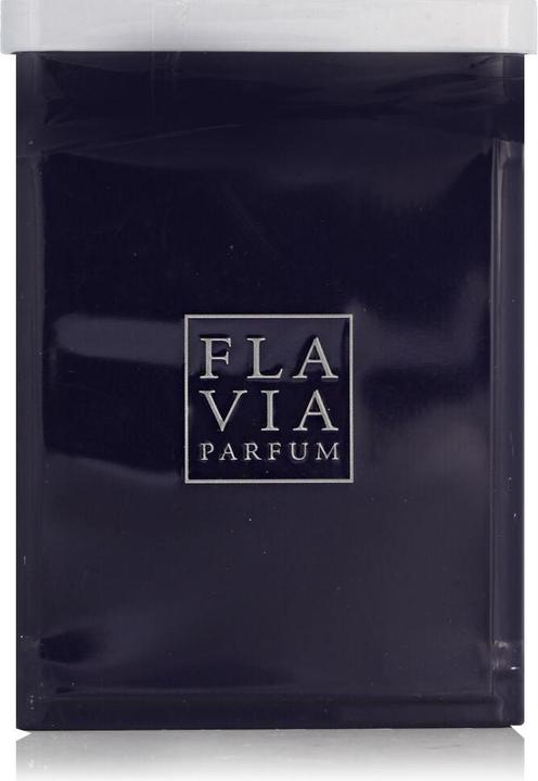 Flavia Martine Pour Homme - EDP - 100 ml (Eau de Parfum, 100 ml)