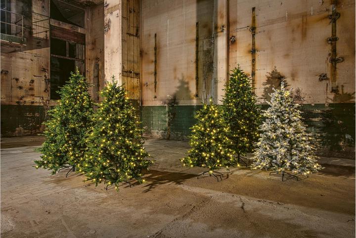 Immagine prodotto STT Albero (180 cm)