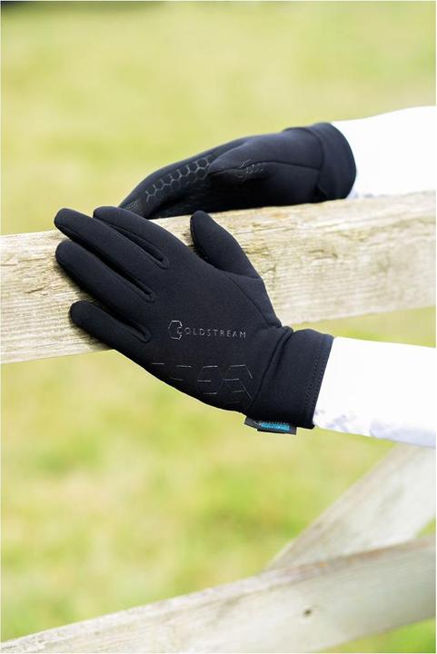 Produktbild Coldstream Winterhandschuhe Eccles Stormshield (L)