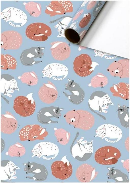 Image du produit Stewo Okko (Papier cadeau, 1 x)