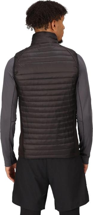 Produktbild Regatta Navigate Weste Hybrid (L)