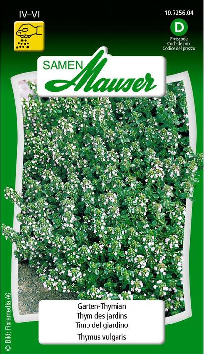Actual product image Samen Mauser Garden thyme (Herb seeds)