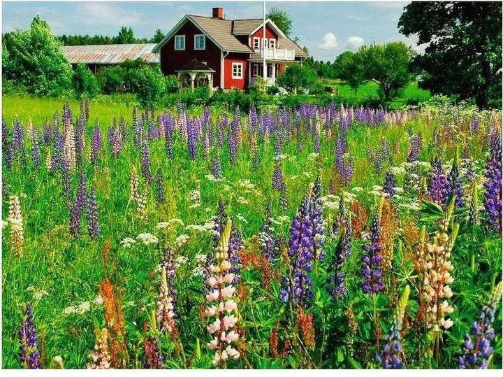 Produktbild Ravensburger Puzzle 12000844, Scandinavian Places - Bauernhof in Schweden - 500 Teile Puzzle für (500 Teile)