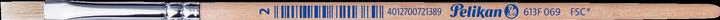 Actual product image Pelikan Brush variety 613F (2 mm)