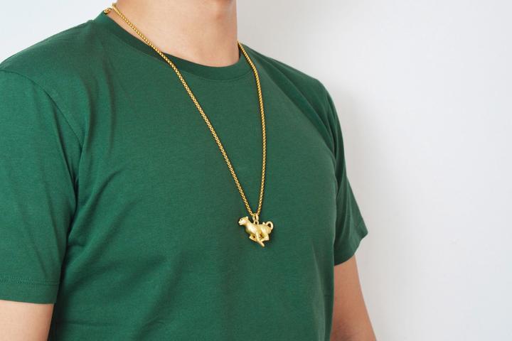 Image du produit MTM Collier (Acier inoxydable)