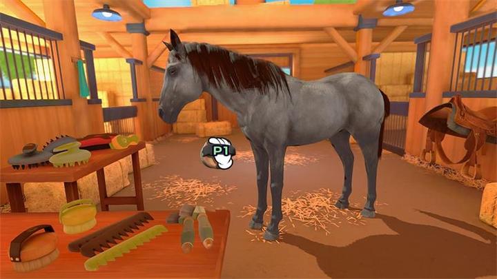 Produktbild Microids Equestrian Training (PS4, EN)