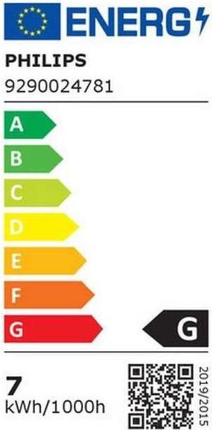 Energy Label Philips Hue Philips E27 single pack Giant Globe (E27, 7 W, 550 lm, 1 x, G)