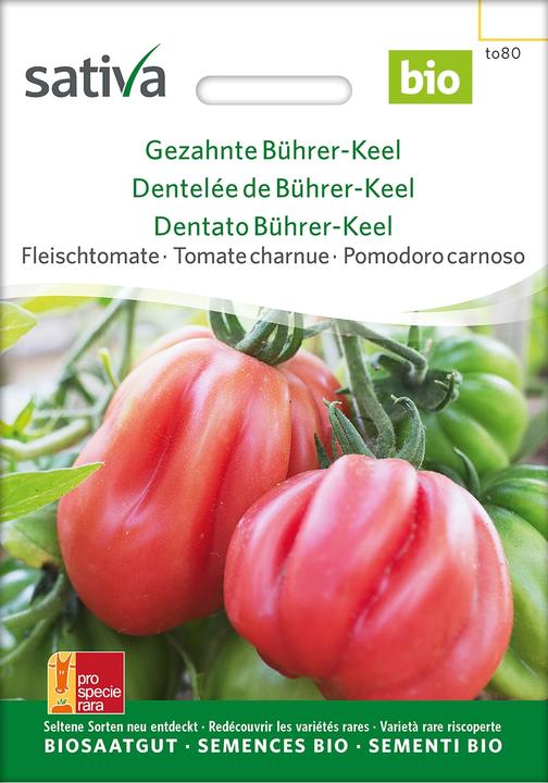 Produktbild Sativa Gezahnte Bührer-Keel – Fleischtomate Bio (Gemüsesamen)