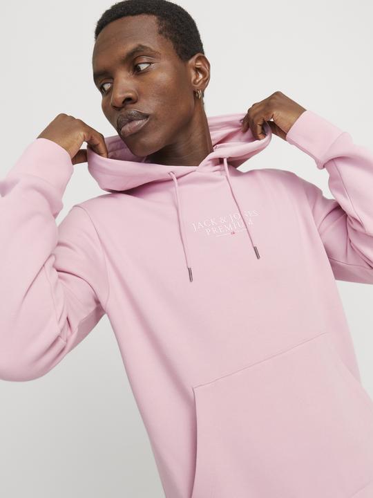 Immagine prodotto Jack & Jones Jprbluarchie Sweat Hood Noos (L)