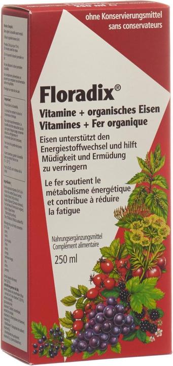 Image du produit Floradix Vitamines et Fer organique (1 pièce(s), Liquide, 614 g)