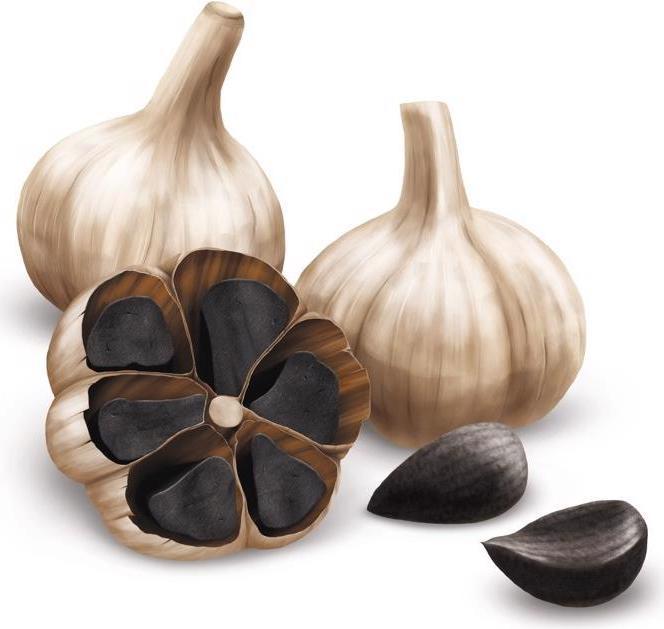 Produktbild Alpinamed Schwarzer Knoblauch (120 Stück, Kapseln, 103 g)