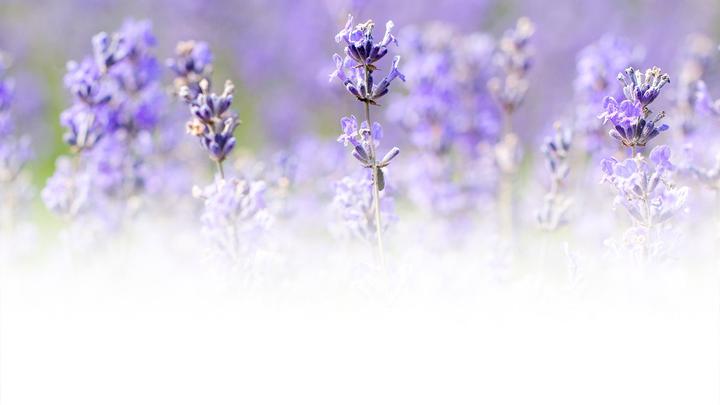 Produktbild Weleda Lavendel Entspannungsbad (200 ml, Badeöl)