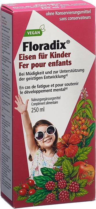 Floradix Eisen für Kinder (1 Stück, Flüssigkeit, 606 g)