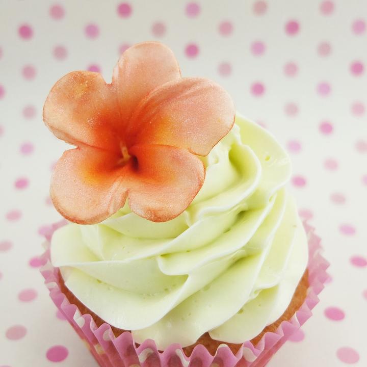 Actual product image Blossom Sugar Art Frangipani embossing set