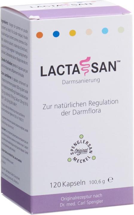 Lactasan Kapsel (120 Stück, Kapseln, 151 g)