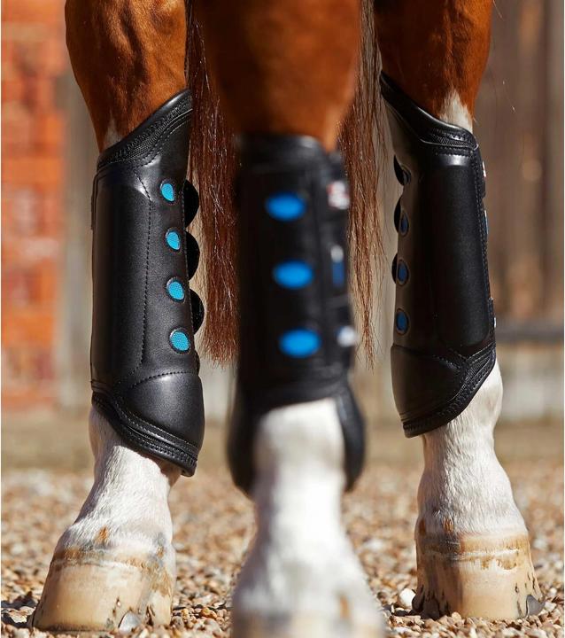 Guêtres pour cheval