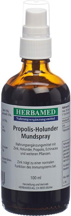 Herbamed Propolis-Holunder (1 Stück, Spray, 198 g)
