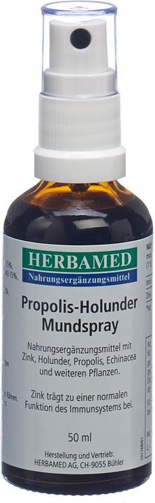 Herbamed Propolis-Holunder Mundspray (1 Stück, Spray, 114 g)