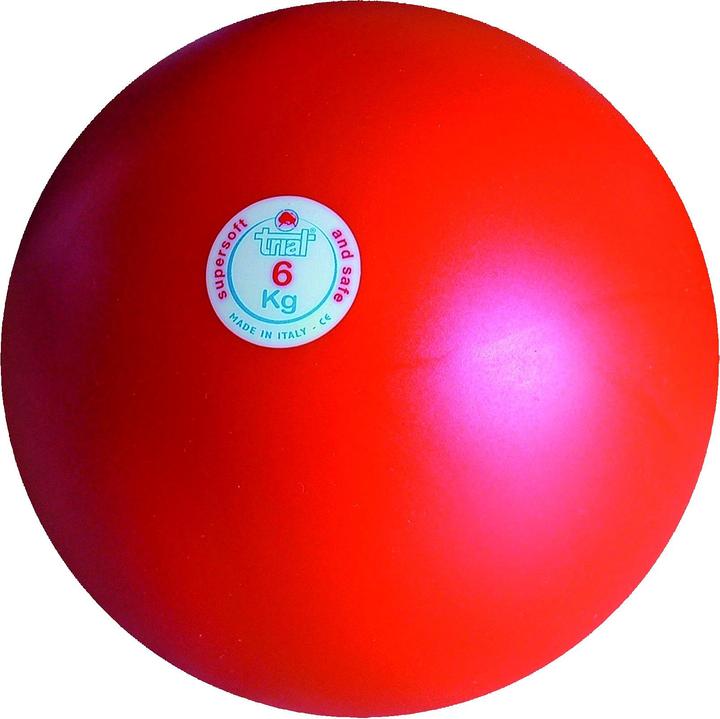 Actual product image Trial Shock ball (3000 g)