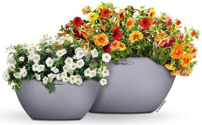 Produktbild Lechuza Cubeto 40 (40 cm)
