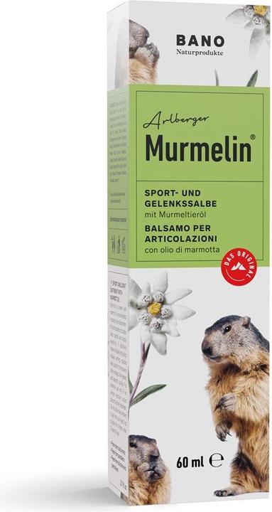 Actual product image Murmelin Sports and joint ointment ointment (1 x, 60 ml)
