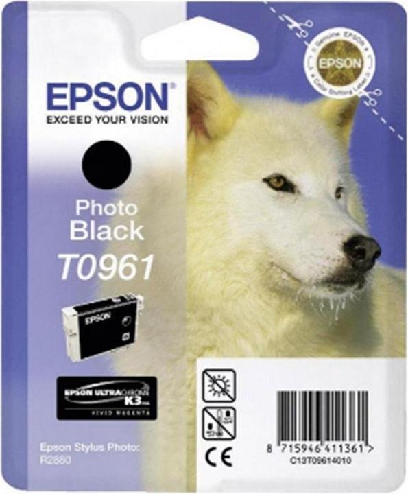 Actual product image Epson T0961 (PBK)
