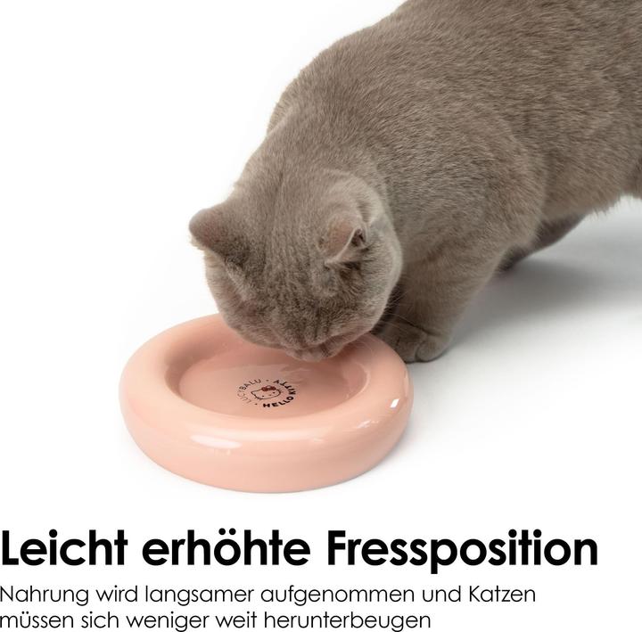 Image du produit LucyBalu DROP Katzennapf - Hello Kitty Edition