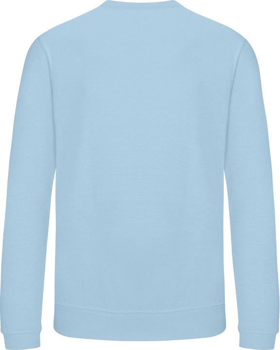 Image du produit Awdis - Sweat JUST HOODS - Enfant (128)