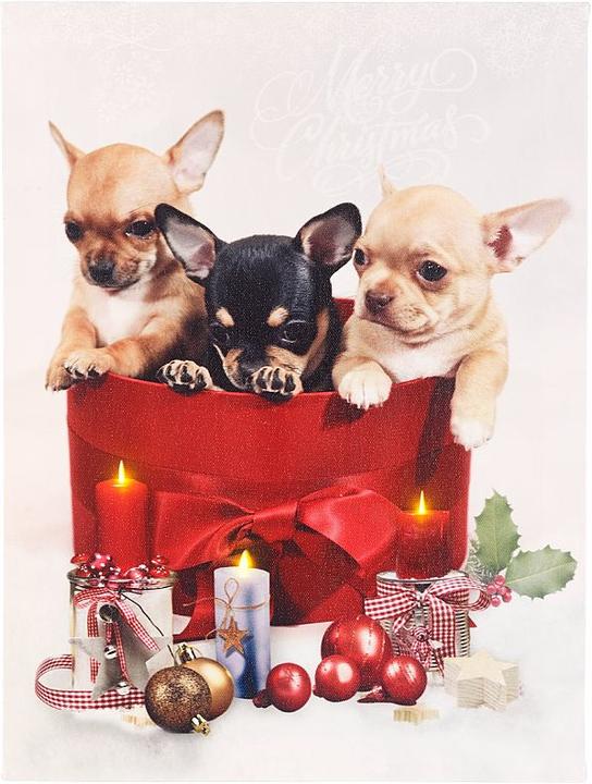 Produktbild Infactory LED-Wandbild mit Weihnachts-Hundewelpen-Motiv (30 x 40 cm)
