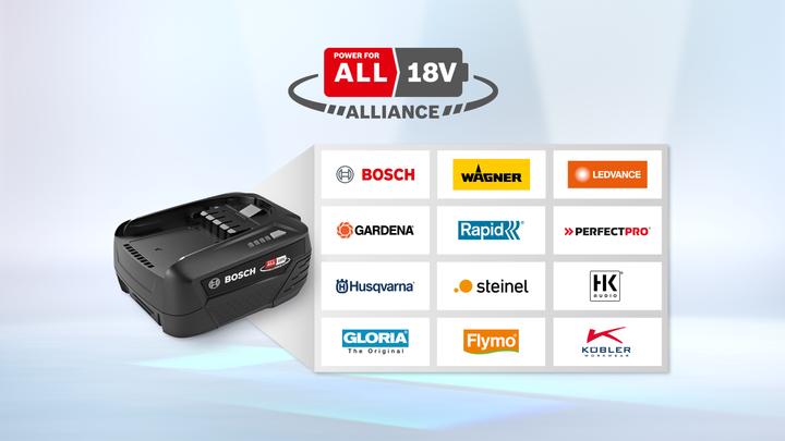 Actual product image Bosch Home & Garden Interchangeable battery (18 V)