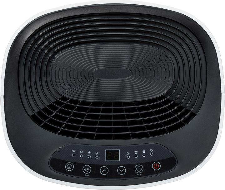 Actual product image eeese Adam 20 (70 m², 20 l/24h)