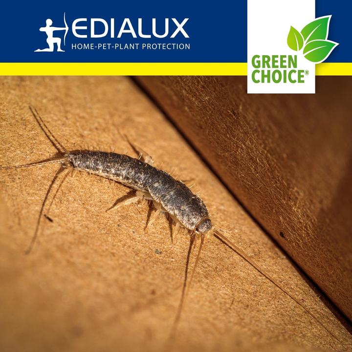 Actual product image Edialux Green Choice - Silverfish trap, 2 pieces