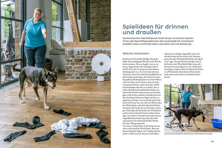 Produktbild Kosmos Hundetraining mit Martin Rütter (Deutsch, Martin Rütter, Andrea Buisman, 2022)