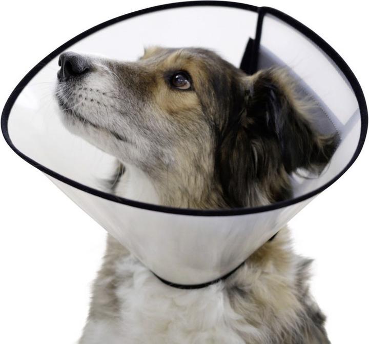 Kerbl Nekbeugel voor honden (Hond)