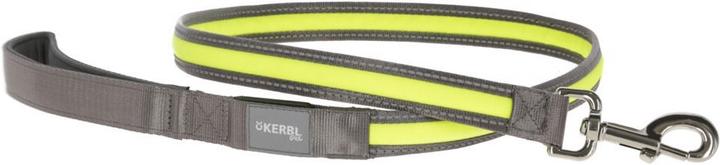 Image du produit Kerbl Ligne lumineuse (Chien, Sport canin)