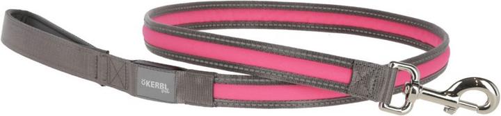 Kerbl Laisse lumineuse Light & Reflex (Chien, Sport canin)