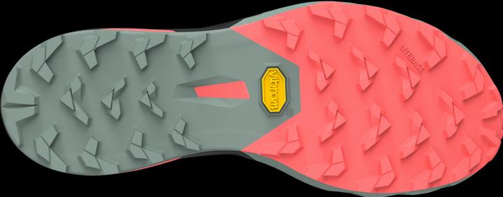 Actual product image Dynafit Alpine Pro 2 Laufschuh (40)