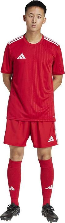 Actual product image adidas Tastigo25 Short (XS)