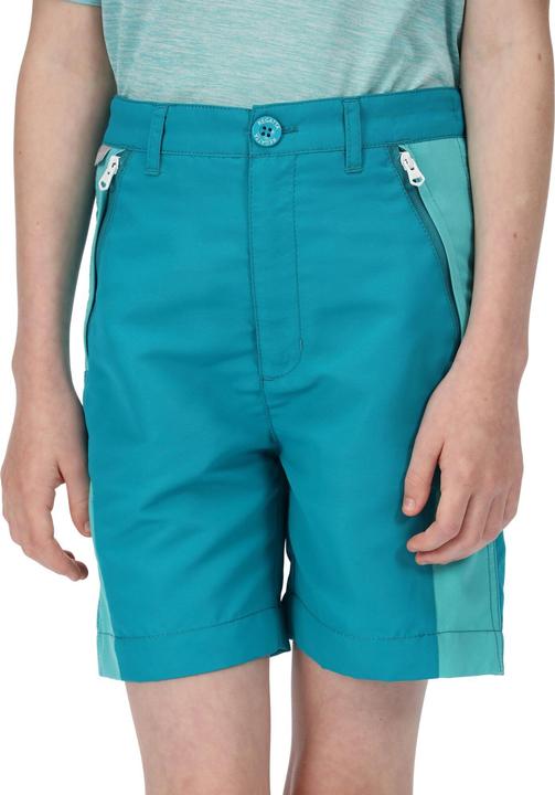 Actual product image Regatta Sorcer Ii Shorts (164)