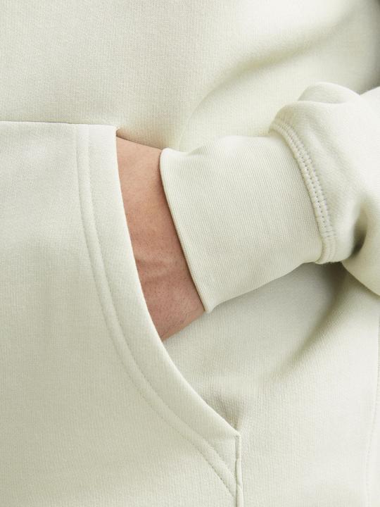 Actual product image Jack & Jones Jorroxbury Back Sweat Hood Ln (L)