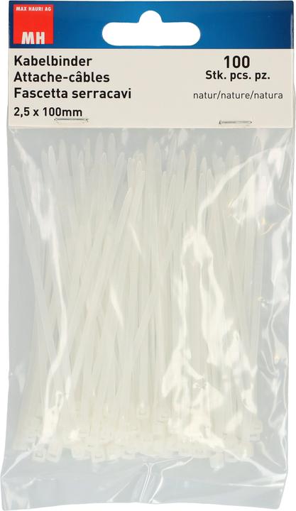 Image du produit Max Hauri Colliers de serrage (Serre-câbles en plastique, 100 mm, 100 pcs)