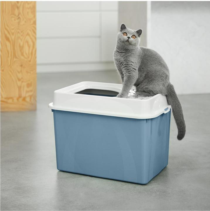 Actual product image Rotho Berty Eco (Cat litter tray open)