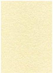 Produktbild Agipa Struktur-Papier, A4, 165 g/qm, Pergament champagne (165 g/m², 50 x, A4)