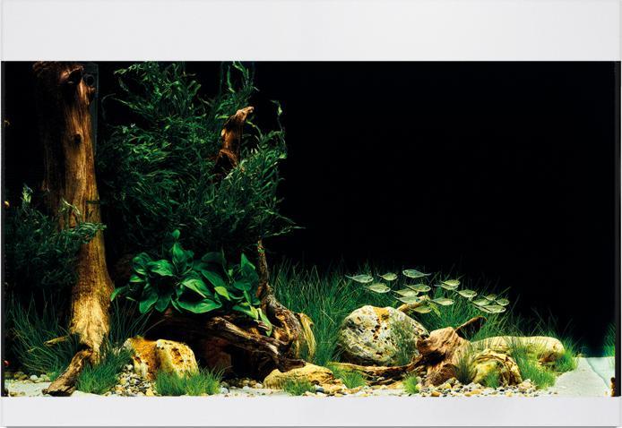 Actual product image Oase Aquarium StyleLine 175, 160 l, White (160 l)
