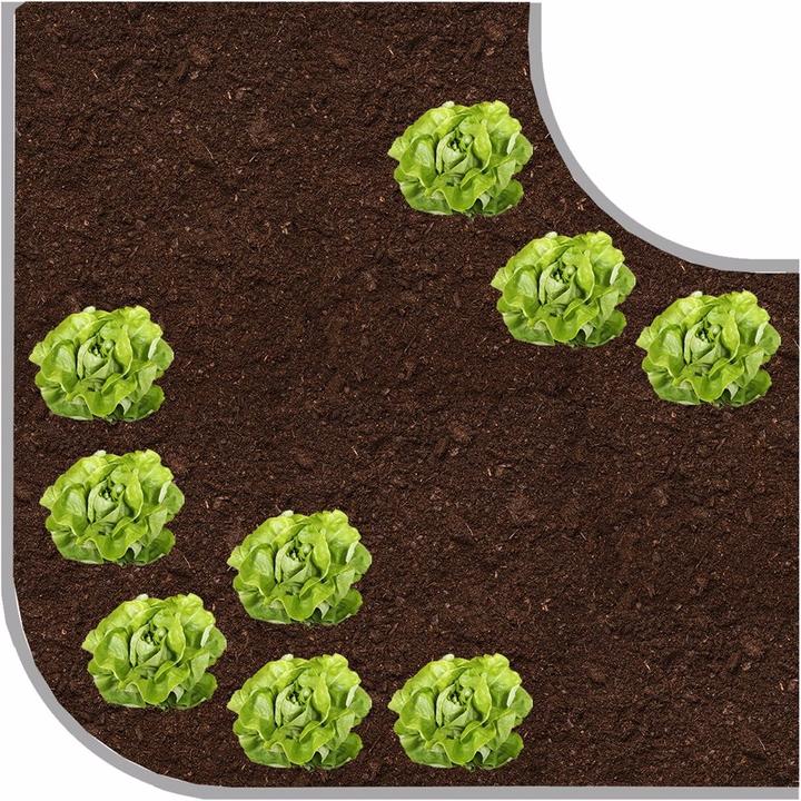 Actual product image Vitavia Terra Curve extension